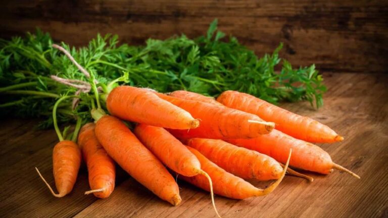 Grimmway Farms retira zanahorias orgánicas tras brote de E. coli. (FUENTE EXTERNA)