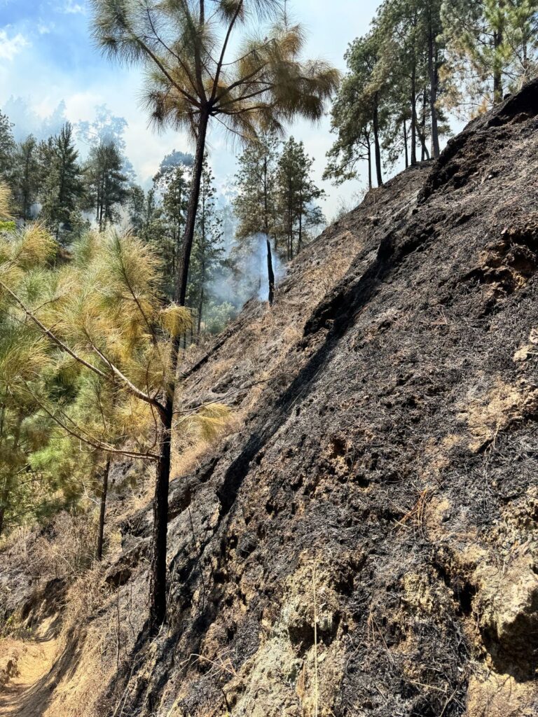 Bomberos-forestales-controlan-incendio-en-Ocoa